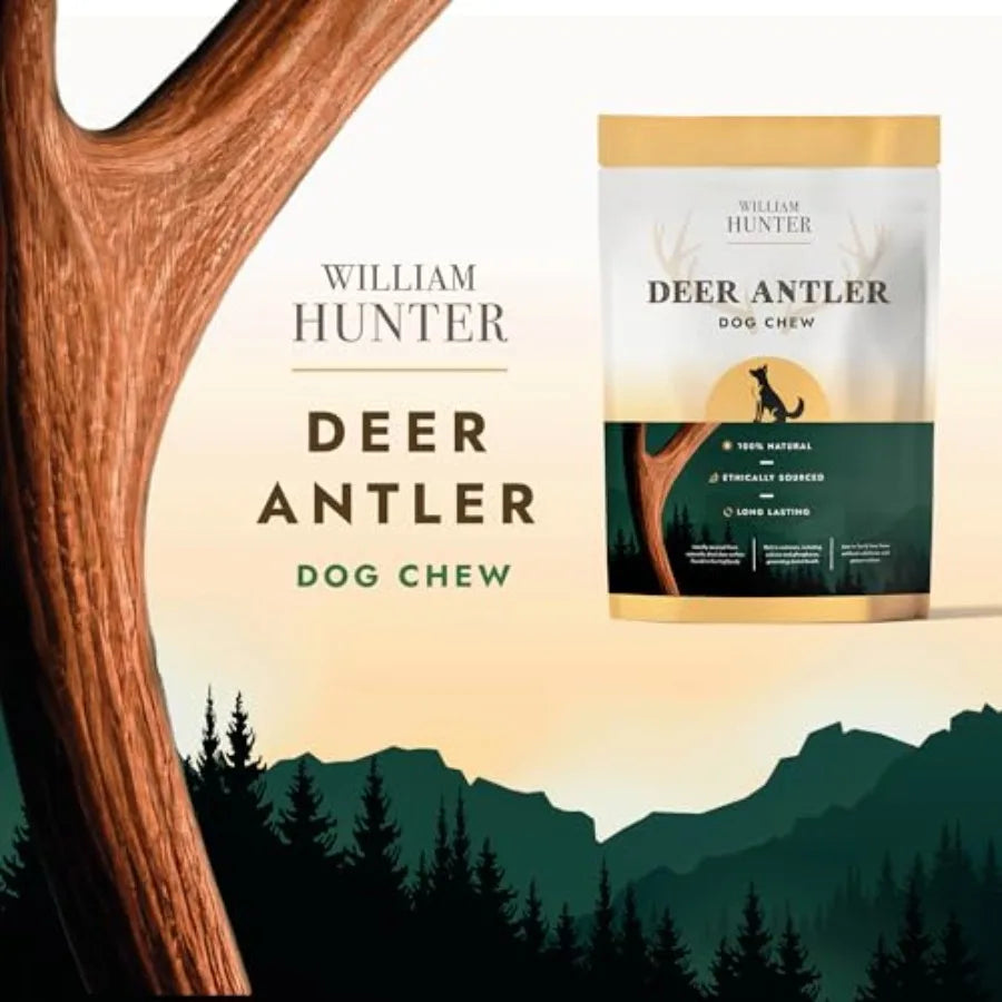 Naturally Shed Deer Antlers for Dogs - Long Lasting Dog Antler Chews for Aggressive Chewers Ethically Sourced from Scottish Highland