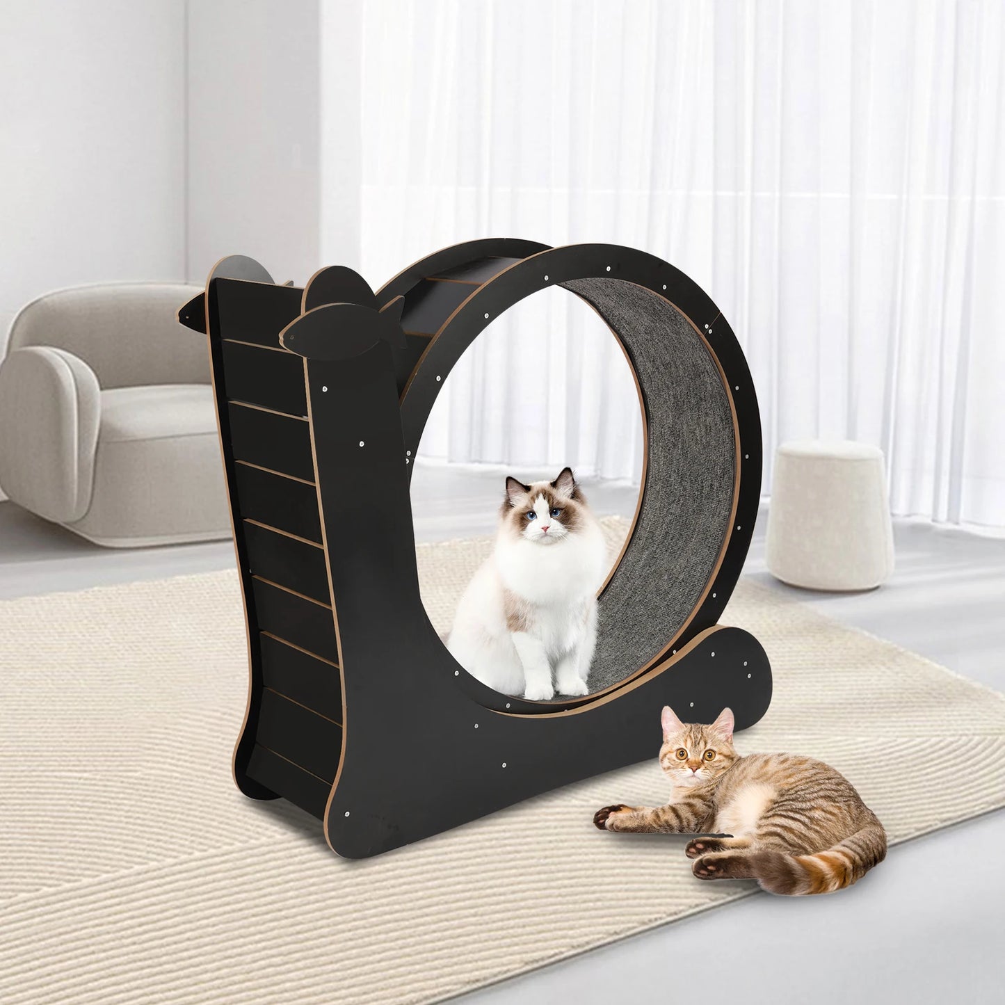 Cat Exercise Wheel Large Cat Treadmill with Carpeted Runway Cat Sport Toy Fitness Weight Loss Device for Cats