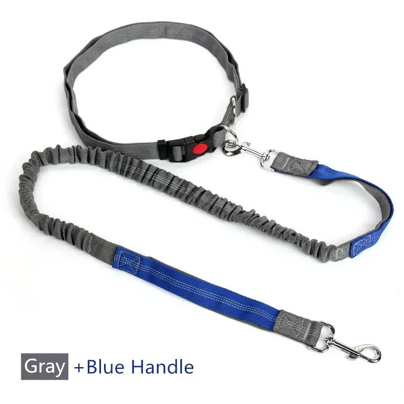 Retractable Dog Leash with Adjustable Waist Rope, Hand Free Running, Jogging and Cycling