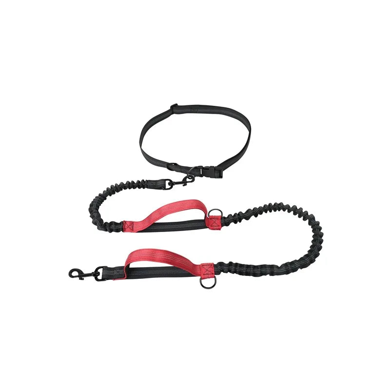 Hands Free Dog Leash for Pet Walking & Running. Retractable Elastic Belt and Traction Rope for Running & Walking