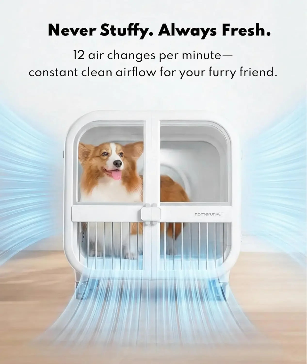 135L Ultra-Quiet Pet Dryer Box, Smart Temp Control, 360° Hands-Free Safe Drying for Dogs, Cats & Multi-Pet, Custom
