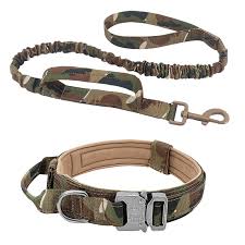 DOG COLLARS AND LEASHES