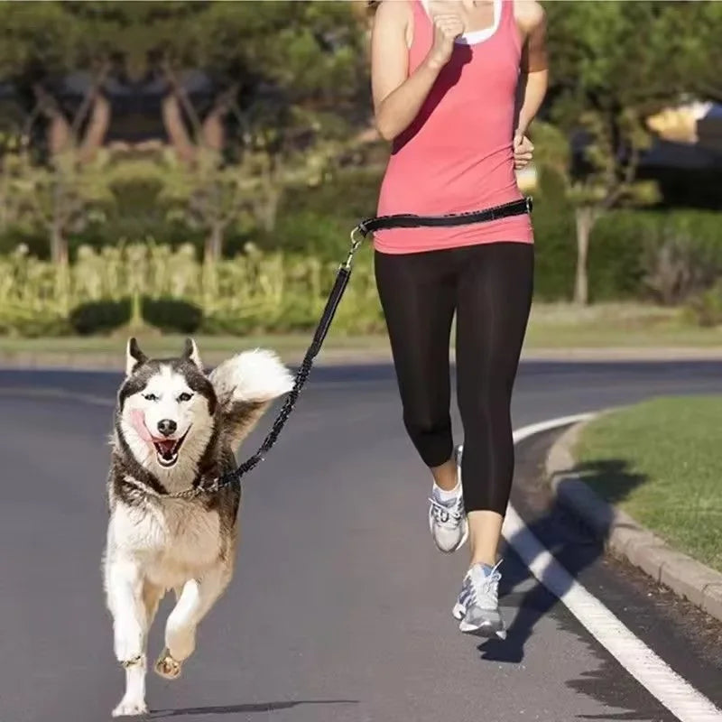 Hand Free Dog Leash for Pet Walking Running Jogging Adjustable Dog leash Waist Belt Chest Strap Traction Rope Dog Accessories