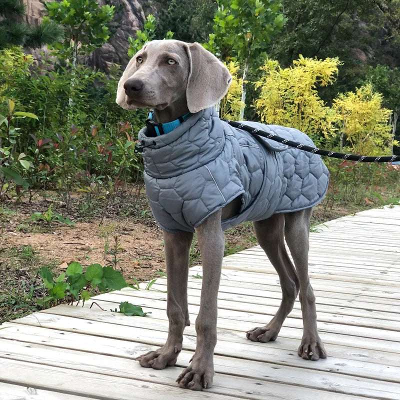 Winter Dog Clothes for Large Breed Reflective Snowsuit Big Dog Jacket with Fleece Lining Warm Coat for Whippet Greyhound Pet
