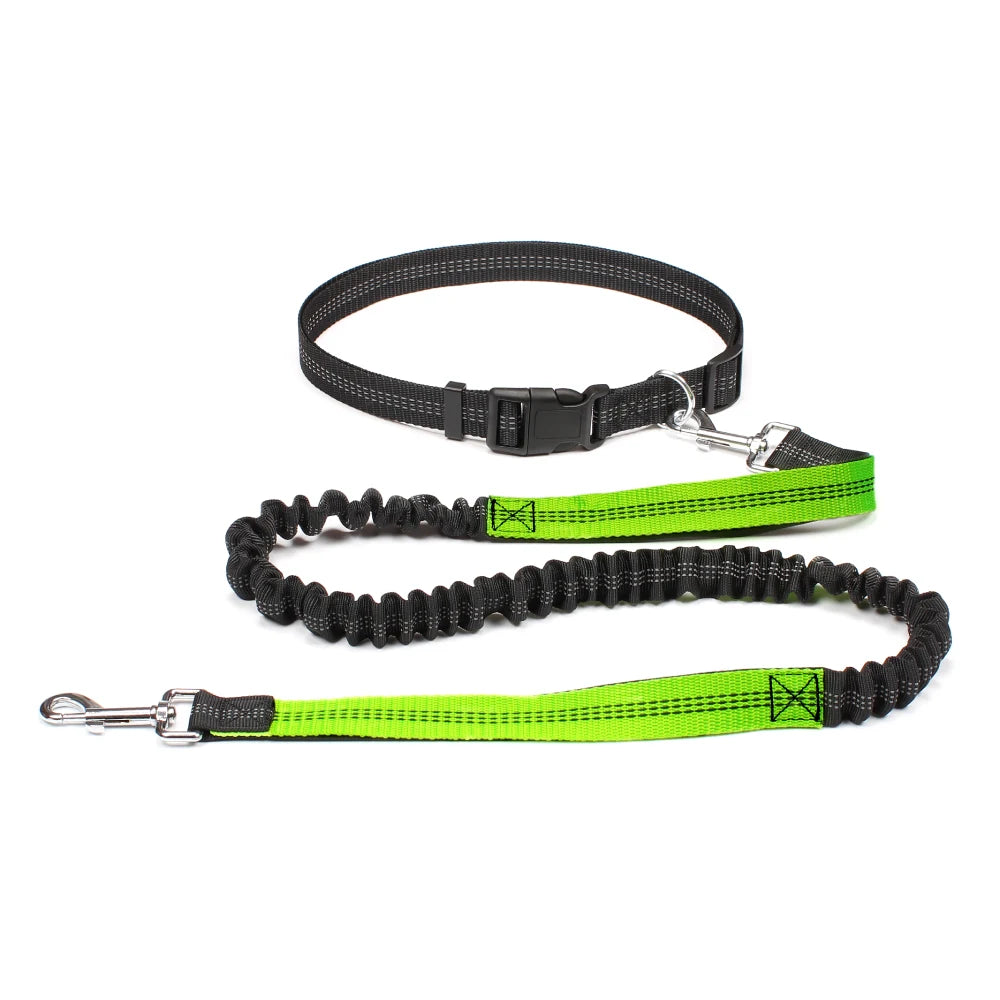 Hand Free Dog Leash for Pet Walking, Running,  & Jogging with Adjustable Dog leash Waist Belt and Chest Strap with Traction Rope