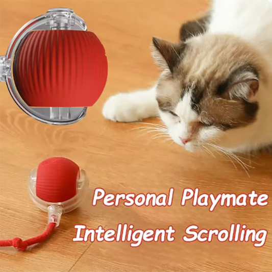 Interactive Self-Play Cat Toy, Automatic Teaser Ball and Rotating Stick, Hands-Free Fun for Kittens
