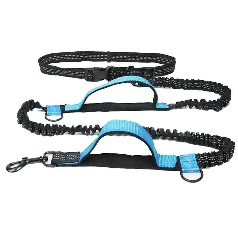 Hands Free Dog  Leash for Pet Walking & Running. Retractable Elastic Belt and Traction Rope for Running & Walking