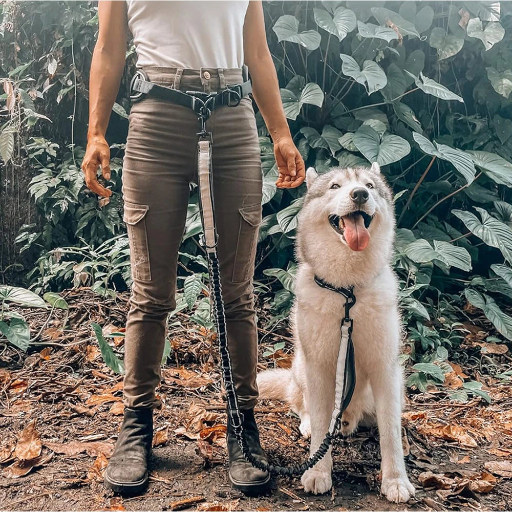 Hands Free Dog Leash Dog with Waist Leash With Lumbar Support Belt. Multifunctional Extendable Dog Leash with Reflective Bungee Leash.