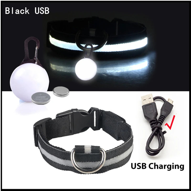 USB Charging Glowing Dog Collar With Pendant Detachable Luxury Led Light Bright For Small Dogs Cat Night Safety Collar Wholesale