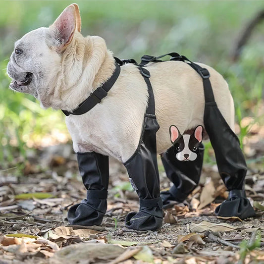 Best Anti-Slip Dog Shoes and Rain Booties, Dirty-proof & Anti-fall, with Suspender & Sock Shoes