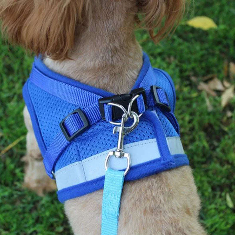 Vest Harness  with Leash, Adjustable Mesh Vest, Dog Harness Collar with Chest Strap Leash and Harnesses With Traction Rope XS/S/M/L/XL