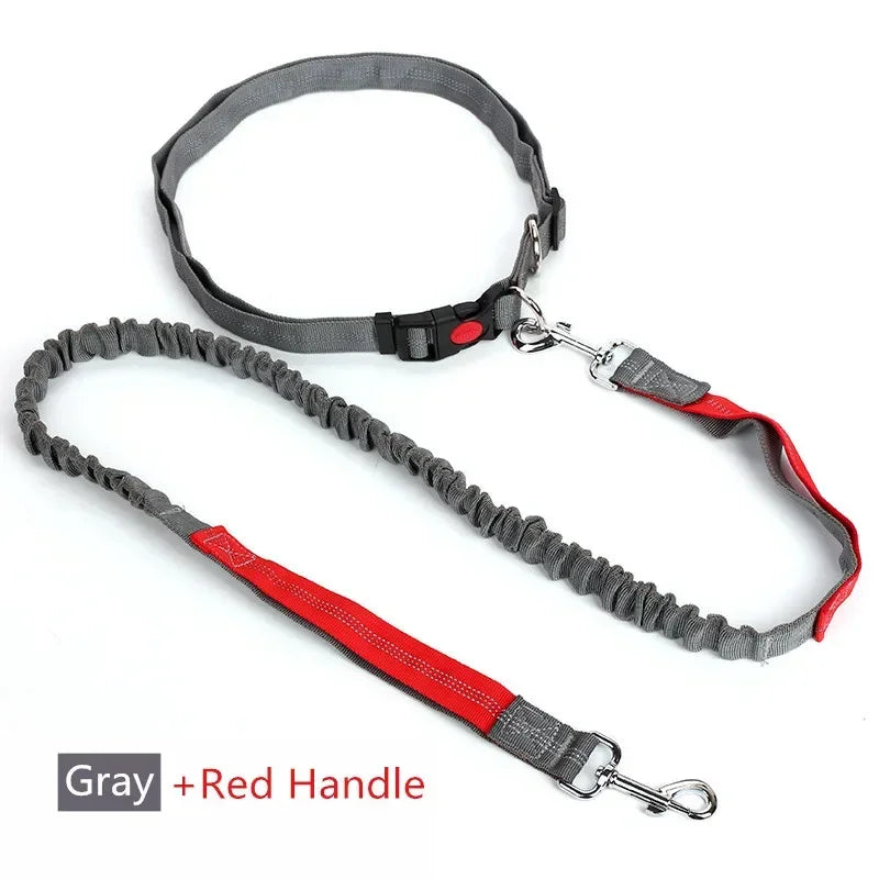 Retractable Dog Leash with Adjustable Waist Rope, Hand Free Running,  Jogging and Cycling