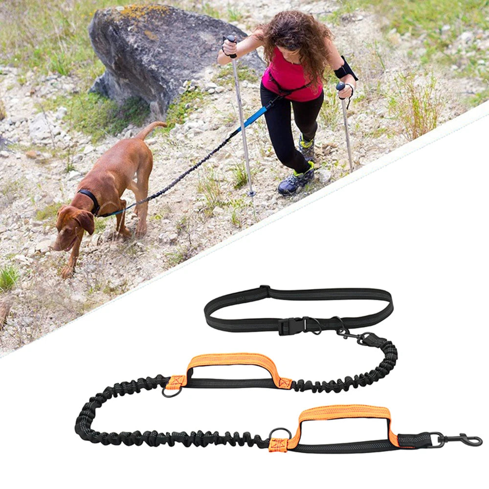Double elastic reflective running leash,  portable and retractable dog leash