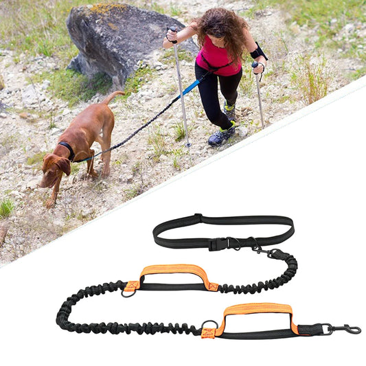 Double elastic reflective running leash,  portable and retractable dog leash