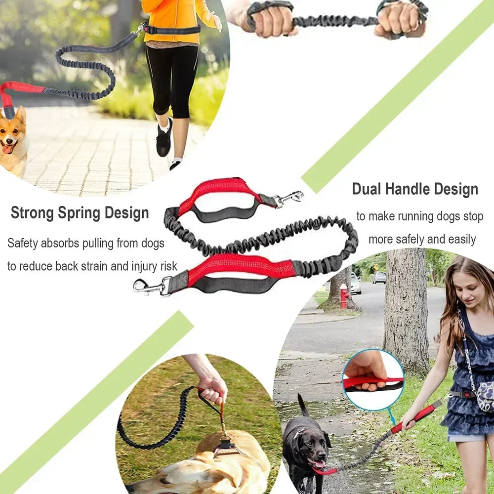 Retractable Dog Leash with Adjustable Waist Rope, Hand Free Running,  Jogging and Cycling