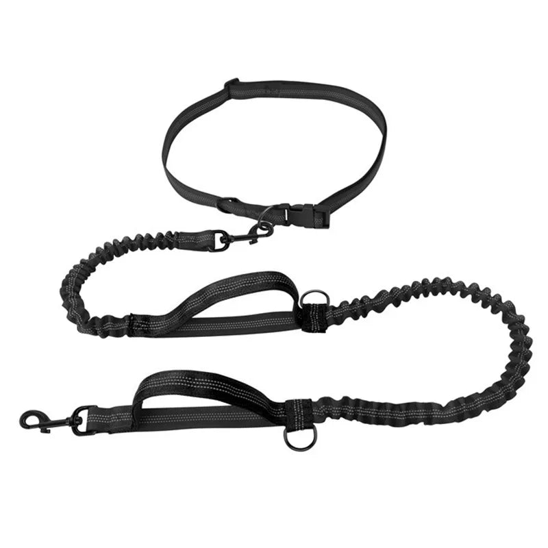Hands Free Dog  Leash for Pet Walking & Running. Retractable Elastic Belt and Traction Rope for Running & Walking
