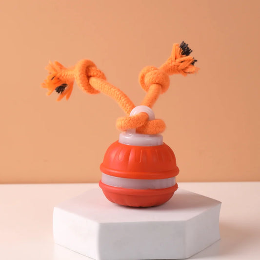 Dog Ball Toys Touch Activated, Rechargeable, Squeaky Dog Toy, Interactive Moving Ball for Pup with Rope for Medium Small Dogs Pu