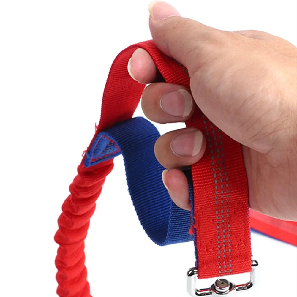 Retractable Dog Leash with Adjustable Waist Rope, Hand Free Running,  Jogging and Cycling