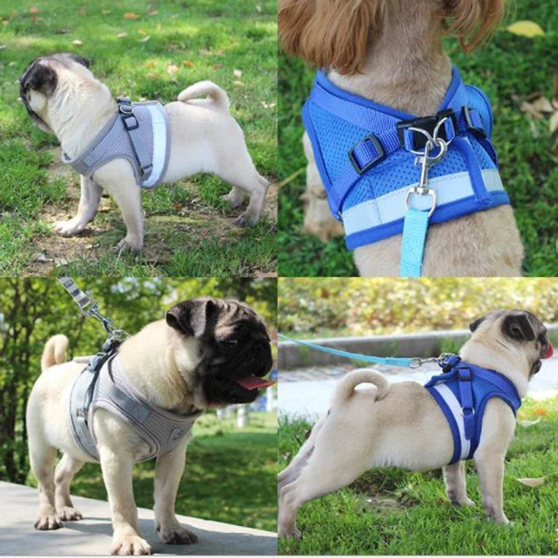 Vest Harness  with Leash, Adjustable Mesh Vest, Dog Harness Collar with Chest Strap Leash and Harnesses With Traction Rope XS/S/M/L/XL