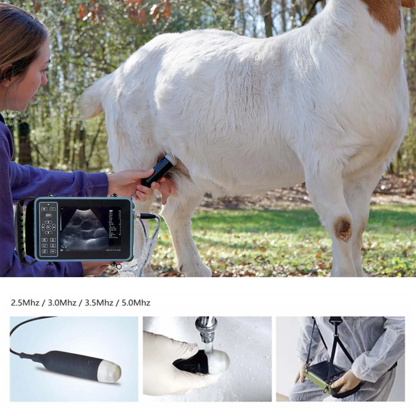 Portable Veterinary Ultrasound Scanner for Pregnancy Vet B-Ultrasound Machine with 3.5MHz Convex Probe for Pig Sheep Dog Animals