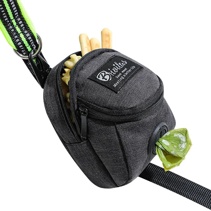 Portable Dog Training Treat Bag, Outdoor Dog Treat Pouch for Puppy Snacks and Rewards with Waist and Poop Dispenser