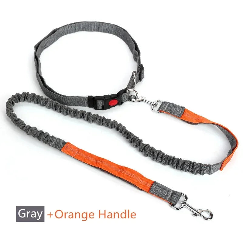 Retractable Dog Leash with Adjustable Waist Rope, Hand Free Running,  Jogging and Cycling