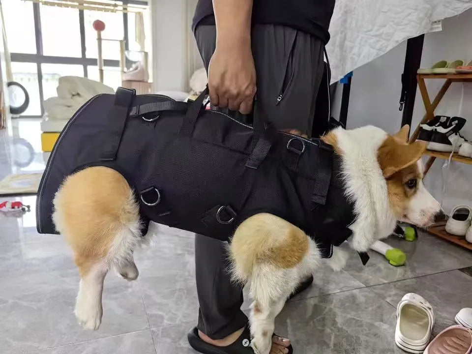 Pet Travel Backpack (3 sizes) Shoulder Carrier Outdoor Hiking Walking Durable Comfortable Oxford Fabric Dog/Cat Carrier