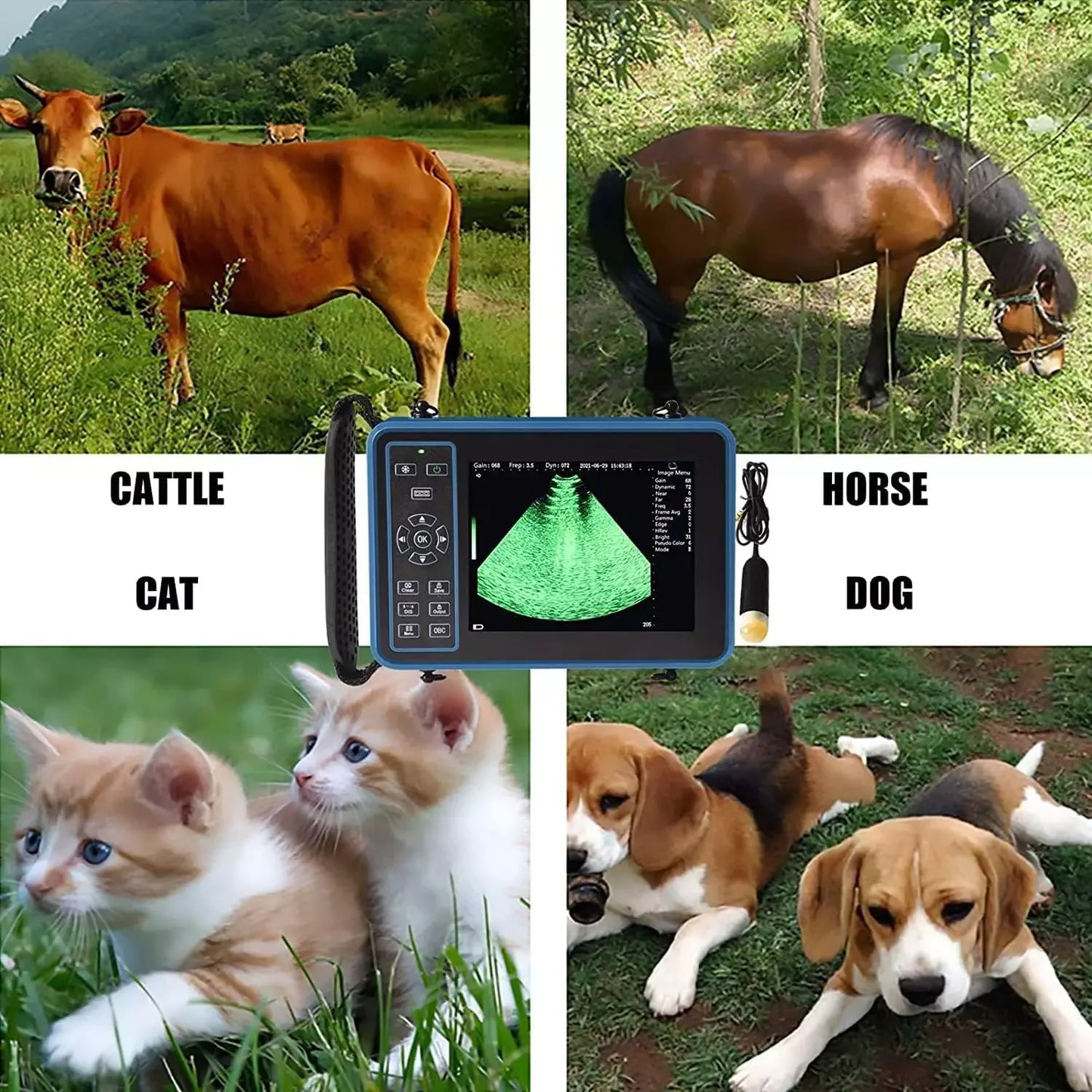 Portable Veterinary Ultrasound Scanner for Pregnancy Vet B-Ultrasound Machine with 3.5MHz Convex Probe for Pig Sheep Dog Animals