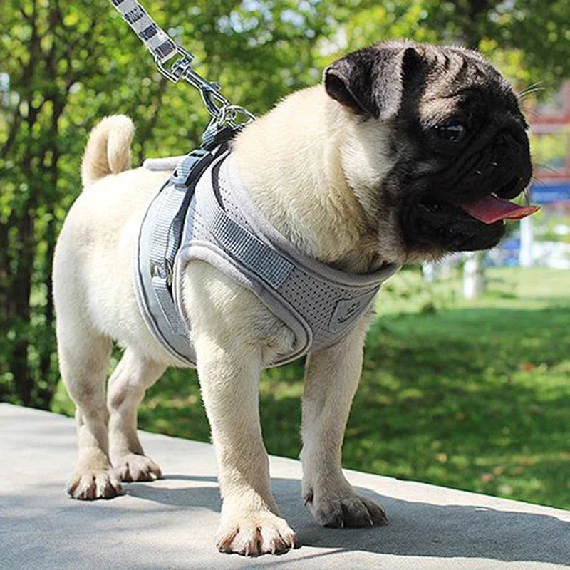 Vest Harness  with Leash, Adjustable Mesh Vest, Dog Harness Collar with Chest Strap Leash and Harnesses With Traction Rope XS/S/M/L/XL