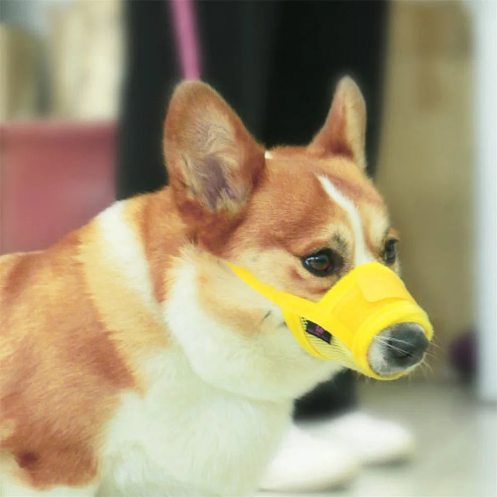 Anti Barking Dog Muzzle for Dogs Adjustable Mesh Breathable Pet Mouth Cover Muzzle for Small Medium Dog Anti-biting Pet Supplies