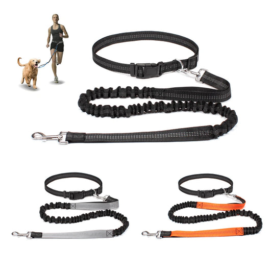 Hand Free Dog Leash for Pet Walking, Running,  & Jogging with Adjustable Dog leash Waist Belt and Chest Strap with Traction Rope