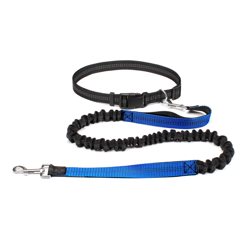 Hand Free Dog Leash for Pet Walking, Running,  & Jogging with Adjustable Dog leash Waist Belt and Chest Strap with Traction Rope