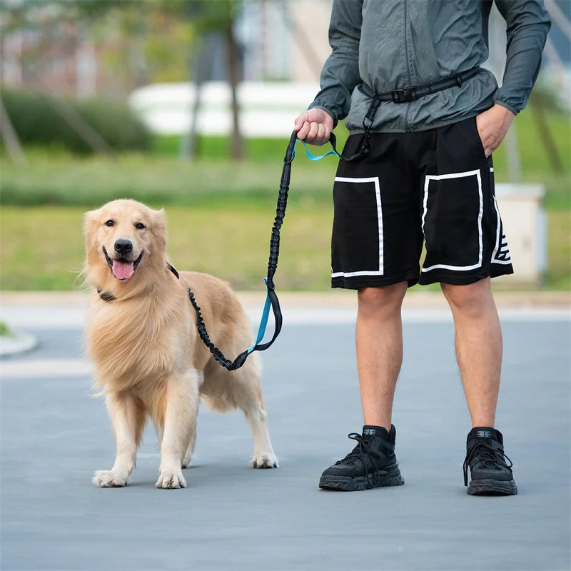 Hands Free Dog  Leash for Pet Walking & Running. Retractable Elastic Belt and Traction Rope for Running & Walking