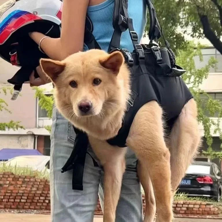 Pet Travel Backpack (3 sizes) Shoulder Carrier Outdoor Hiking Walking Durable Comfortable Oxford Fabric Dog/Cat Carrier