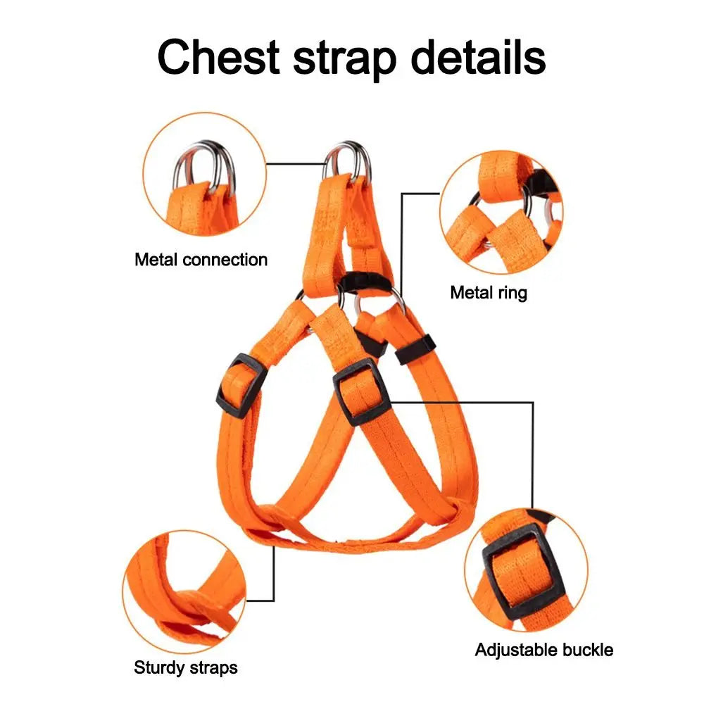 NEW Adjustable Dog Vest Harnesses Universal Breathable Cat Harness Puppy Training Pet Leash