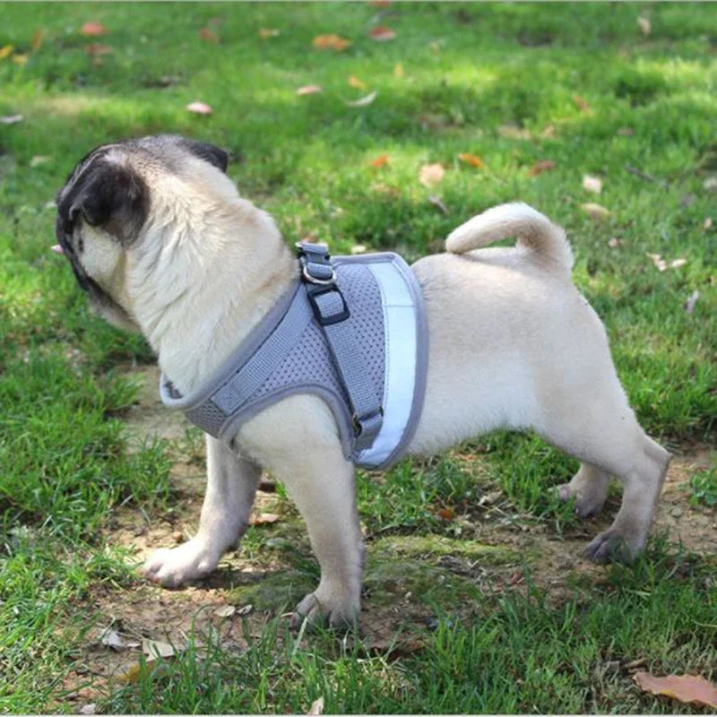 Vest Harness  with Leash, Adjustable Mesh Vest, Dog Harness Collar with Chest Strap Leash and Harnesses With Traction Rope XS/S/M/L/XL