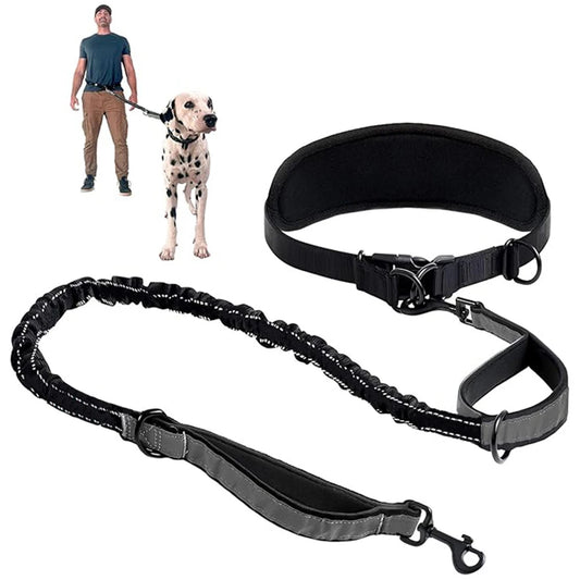 Hands Free Dog Leash Dog with Waist Leash With Lumbar Support Belt. Multifunctional Extendable Dog Leash with Reflective Bungee Leash.