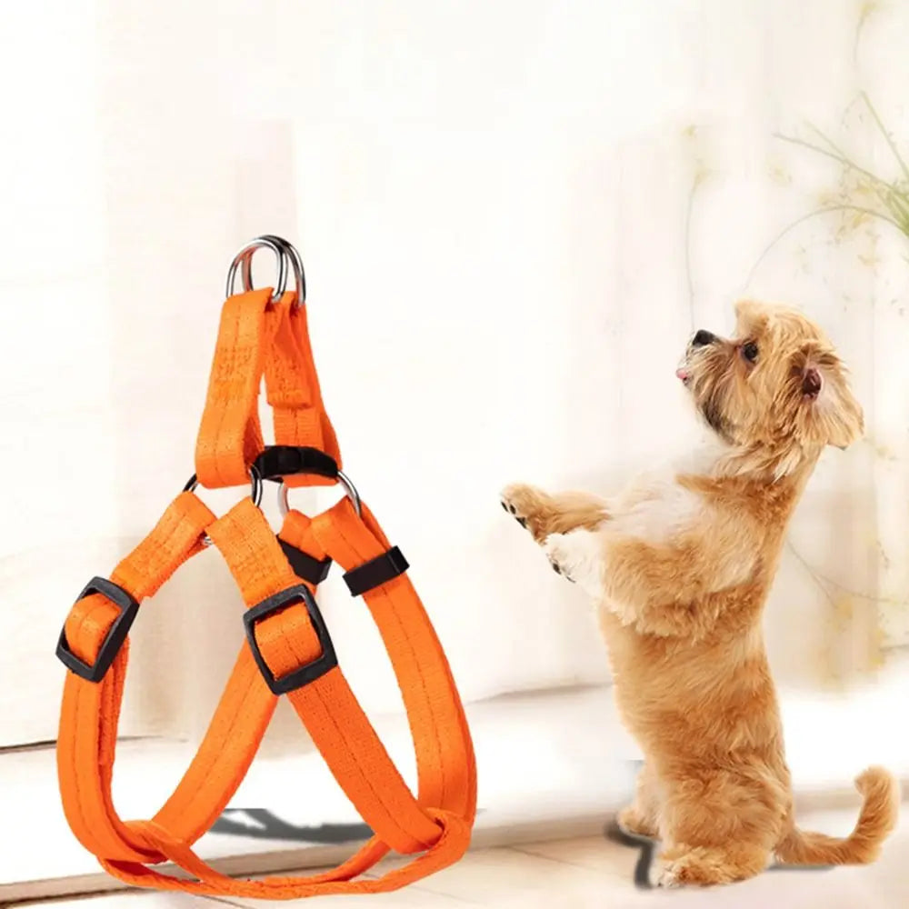 NEW Adjustable Dog Vest Harnesses Universal Breathable Cat Harness Puppy Training Pet Leash