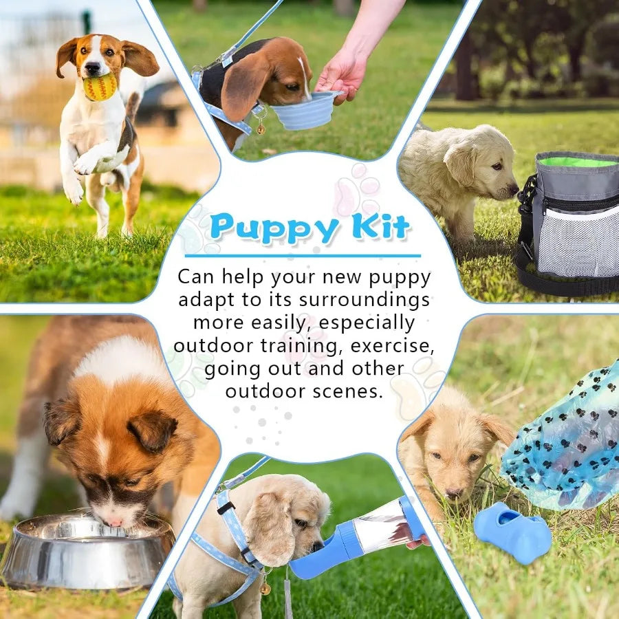 65 Pcs Puppy Supplies Starter Kit Small Dog Essentials Includes Dog Leash Toys Bowl Brushes Water Bottles Pet Blankets Puppy