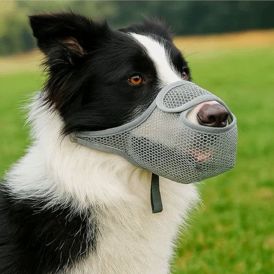 Breathable Mesh Dog Muzzle Anti-Bite Adjustable Strap Dog Mouth Cover Scavenging Prevention Long Mouth Pet Mouth Mask Small Dogs