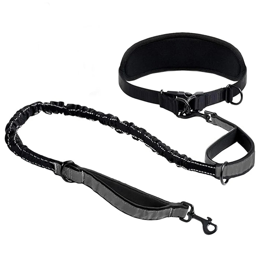 Hands Free Dog Leash Dog with Waist Leash With Lumbar Support Belt. Multifunctional Extendable Dog Leash with Reflective Bungee Leash.
