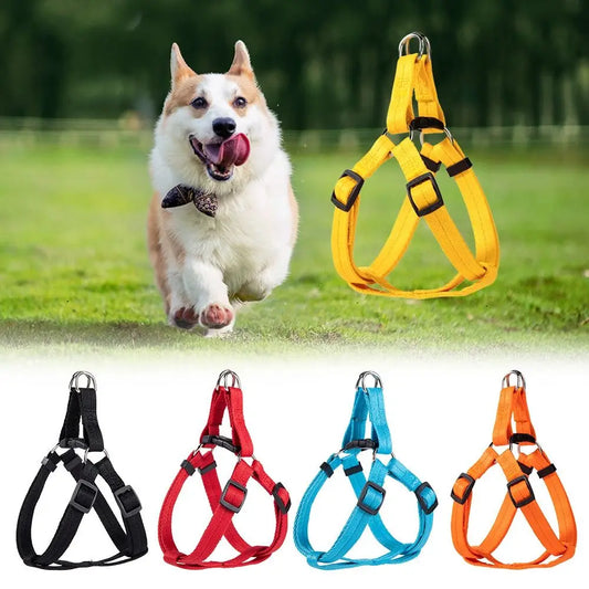 NEW Adjustable Dog Vest Harnesses Universal Breathable Cat Harness Puppy Training Pet Leash
