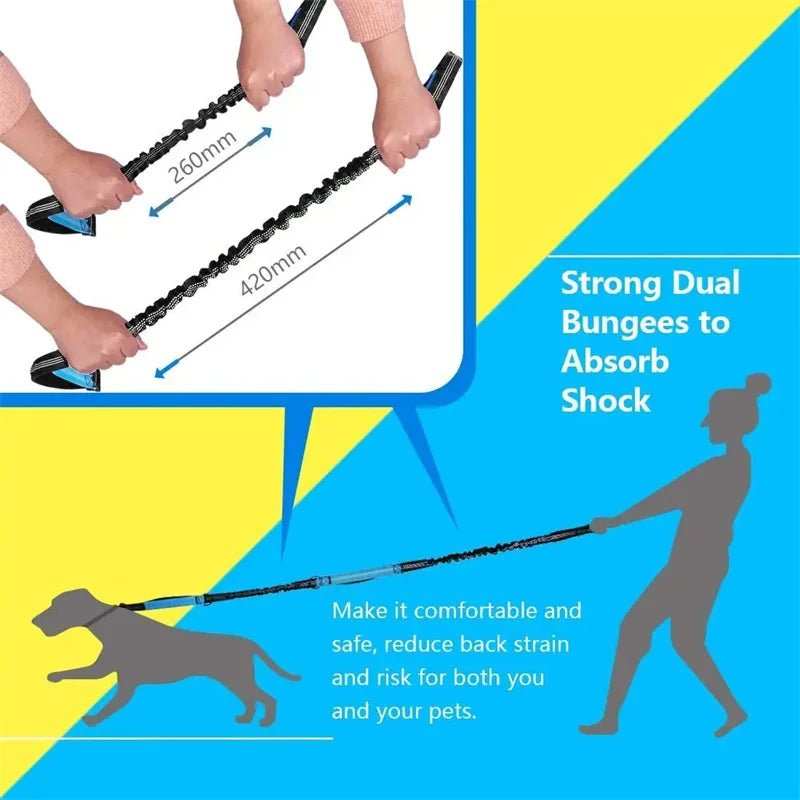 Hands Free Dog  Leash for Pet Walking & Running. Retractable Elastic Belt and Traction Rope for Running & Walking