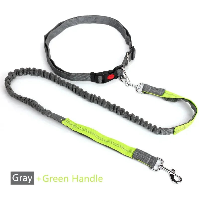 Retractable Dog Leash with Adjustable Waist Rope, Hand Free Running,  Jogging and Cycling