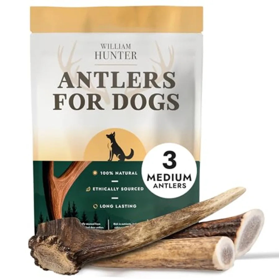 Naturally Shed Deer Antlers for Dogs - Long Lasting Dog Antler Chews for Aggressive Chewers Ethically Sourced from Scottish Highland