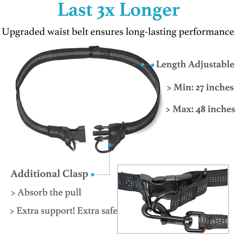 Hands Free Dog  Leash for Pet Walking & Running. Retractable Elastic Belt and Traction Rope for Running & Walking