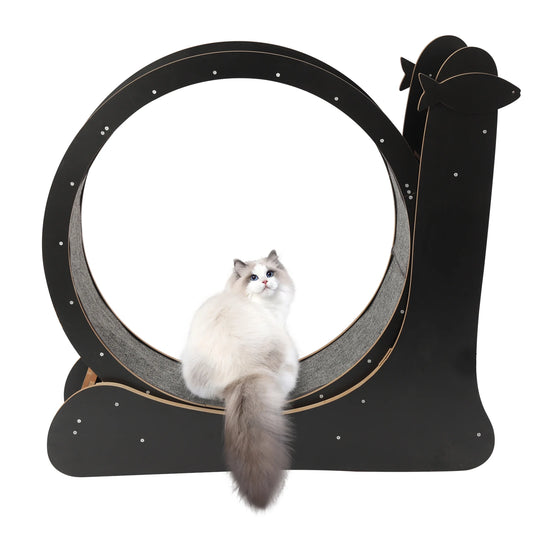 Cat Exercise Wheel Large Cat Treadmill with Carpeted Runway Cat Sport Toy Fitness Weight Loss Device for Cats