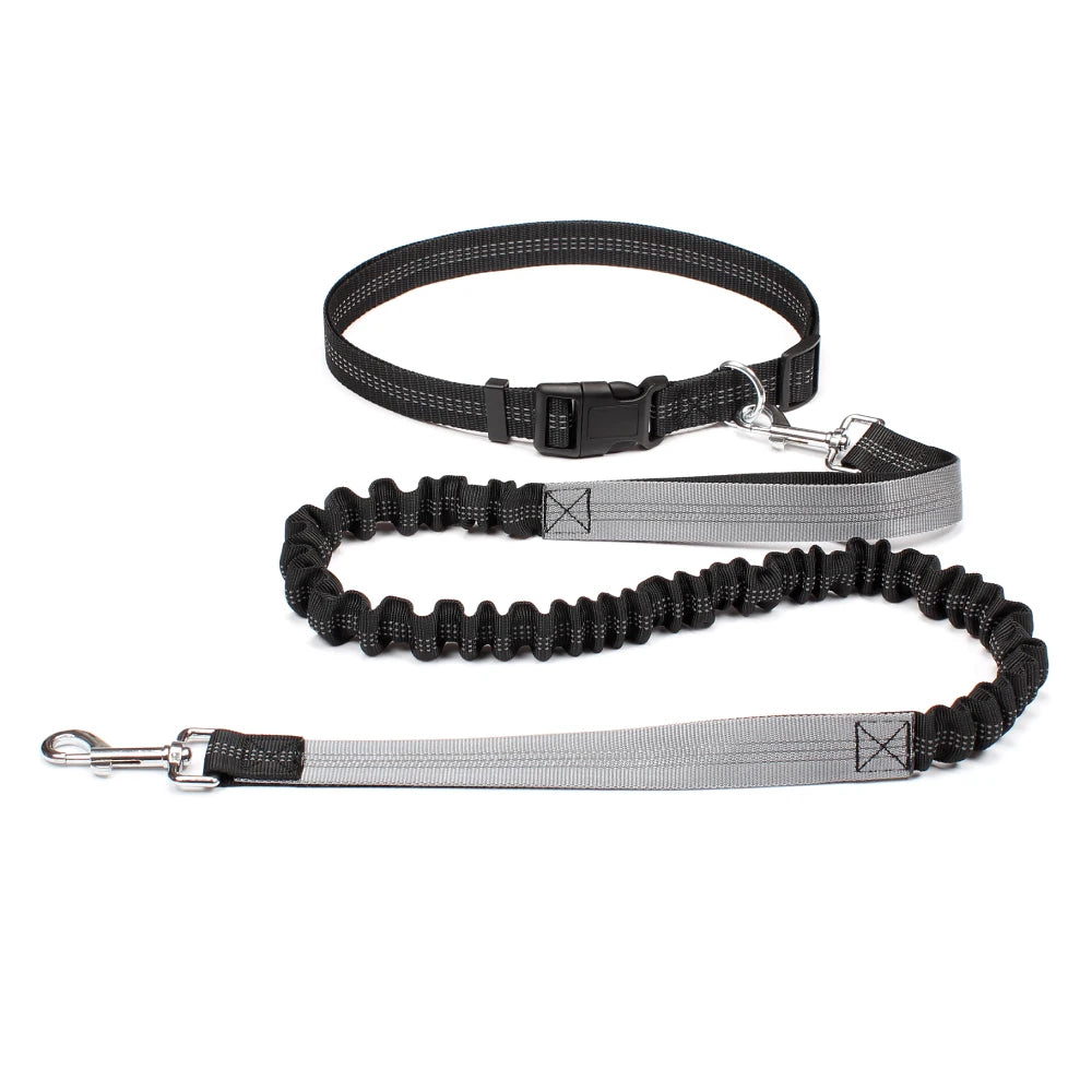 Hand Free Dog Leash for Pet Walking, Running,  & Jogging with Adjustable Dog leash Waist Belt and Chest Strap with Traction Rope