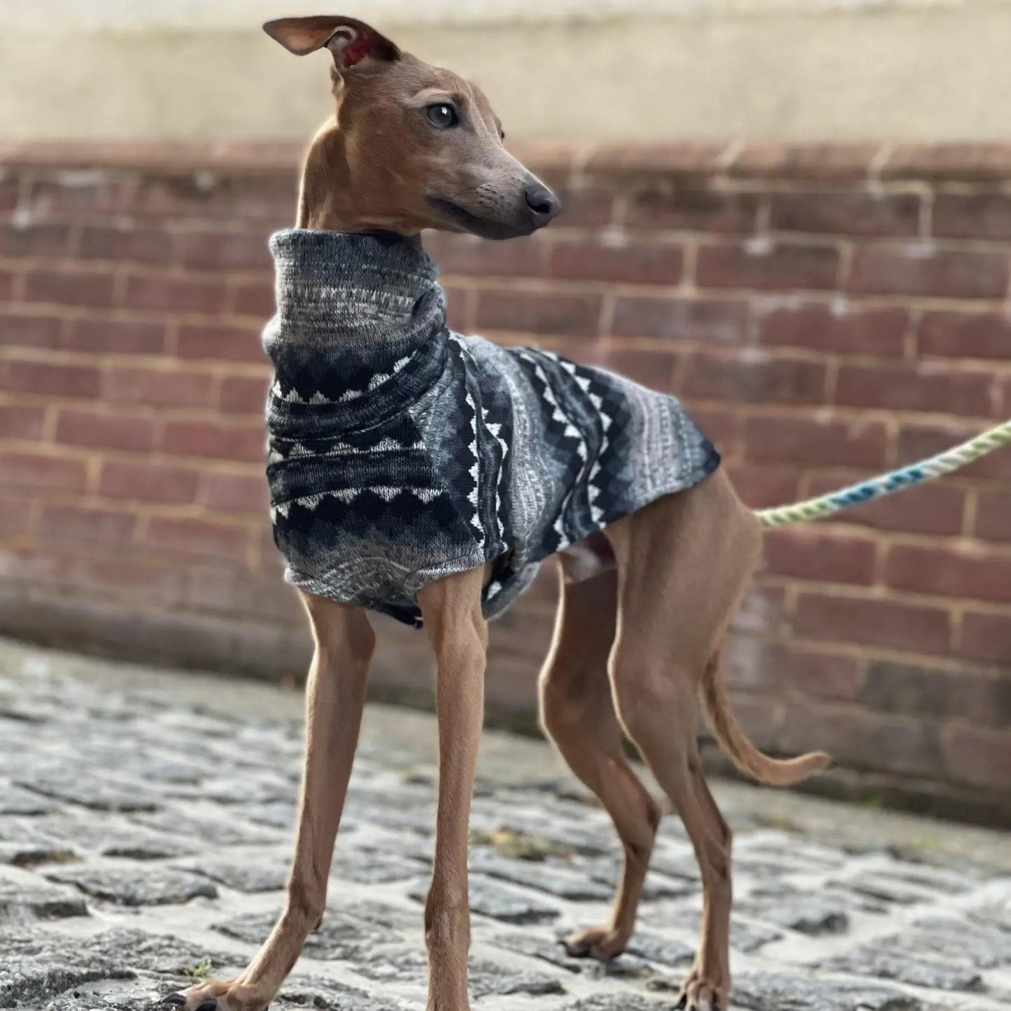 Winter Fleece Turtleneck Whippet Vest Italian Greyhound Bohemia Style Clothes Dog Coat Soft Stretch Bedlington Clothes