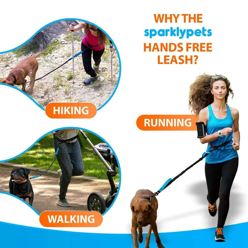 Double elastic reflective running leash,  portable and retractable dog leash